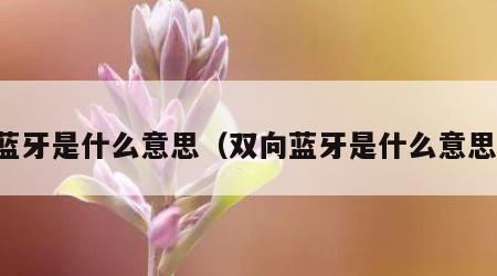 蓝牙是什么意思（双向蓝牙是什么意思）