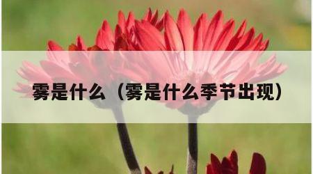 雾是什么（雾是什么季节出现）