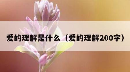 爱的理解是什么（爱的理解200字）