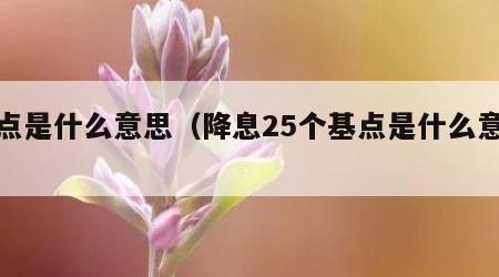 基点是什么意思（降息25个基点是什么意思）