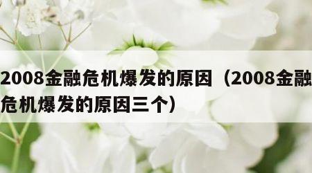 2008金融危机爆发的原因（2008金融危机爆发的原因三个）