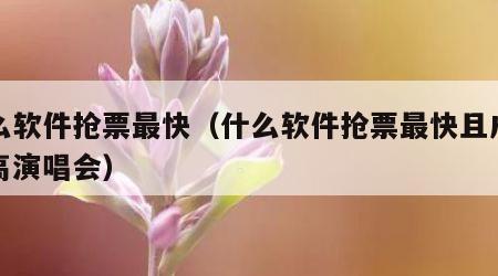 什么软件抢票最快（什么软件抢票最快且成功率高演唱会）