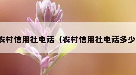 农村信用社电话（农村信用社电话多少）