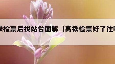 高铁检票后找站台图解（高铁检票好了往哪里走）