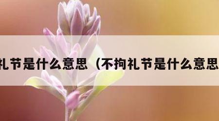 礼节是什么意思（不拘礼节是什么意思）