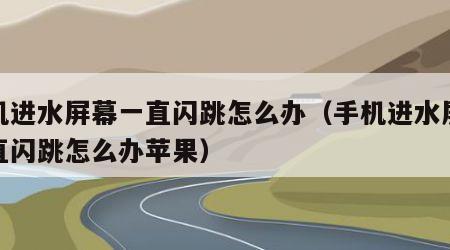 手机进水屏幕一直闪跳怎么办（手机进水屏幕一直闪跳怎么办苹果）