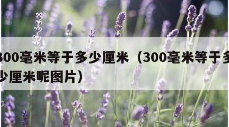 300毫米等于多少厘米（300毫米等于多少厘米呢图片）