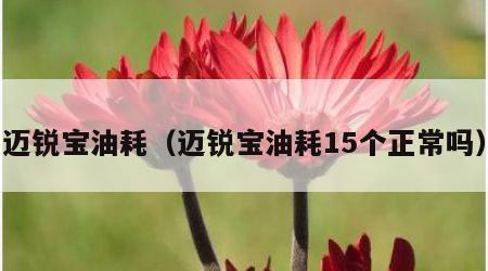 迈锐宝油耗（迈锐宝油耗15个正常吗）