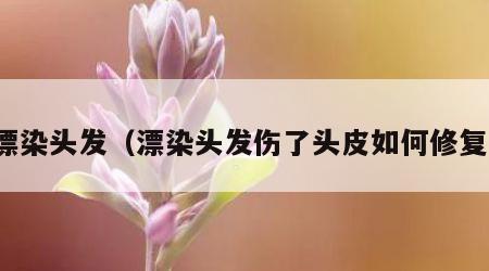 漂染头发（漂染头发伤了头皮如何修复）