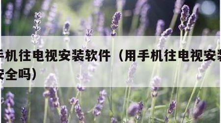 用手机往电视安装软件（用手机往电视安装软件安全吗）