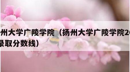 扬州大学广陵学院（扬州大学广陵学院2023录取分数线）