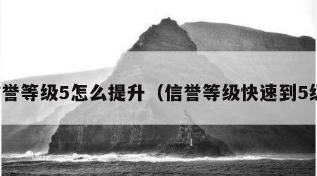 信誉等级5怎么提升（信誉等级快速到5级）