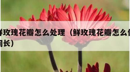 新鲜玫瑰花瓣怎么处理（鲜玫瑰花瓣怎么保存时间长）