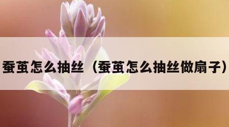 蚕茧怎么抽丝（蚕茧怎么抽丝做扇子）