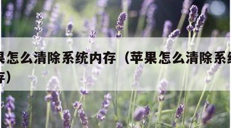 苹果怎么清除系统内存（苹果怎么清除系统的内存）