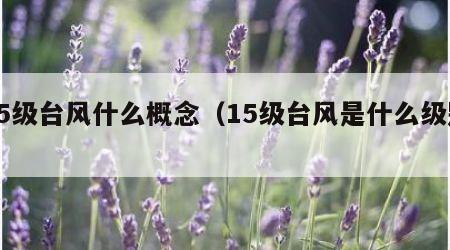 15级台风什么概念（15级台风是什么级别）