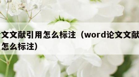 论文文献引用怎么标注（word论文文献引用怎么标注）