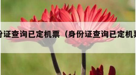 身份证查询已定机票（身份证查询已定机票订单）