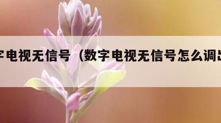 数字电视无信号（数字电视无信号怎么调出电视）