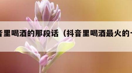 抖音里喝酒的那段话（抖音里喝酒最火的一段话）