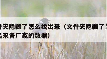 文件夹隐藏了怎么找出来（文件夹隐藏了怎么找出来各厂家的数据）