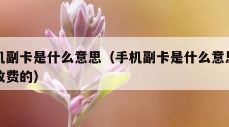 手机副卡是什么意思（手机副卡是什么意思怎么收费的）