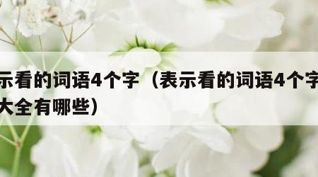 表示看的词语4个字（表示看的词语4个字成语大全有哪些）