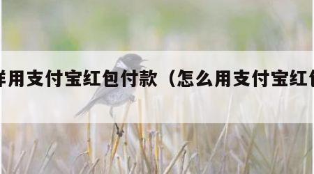 怎样用支付宝红包付款（怎么用支付宝红包支付）