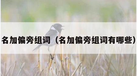 名加偏旁组词（名加偏旁组词有哪些）