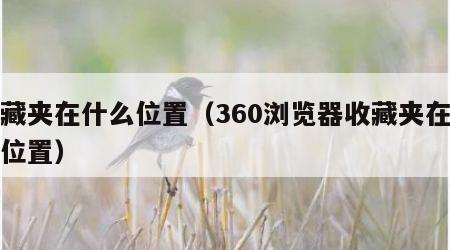 收藏夹在什么位置（360浏览器收藏夹在什么位置）