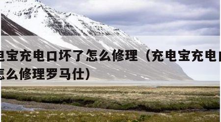 充电宝充电口坏了怎么修理（充电宝充电口坏了怎么修理罗马仕）