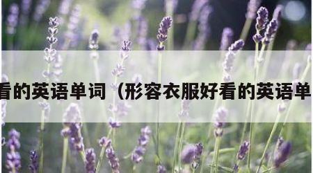 好看的英语单词（形容衣服好看的英语单词）