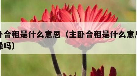主卧合租是什么意思（主卧合租是什么意思能洗澡吗）