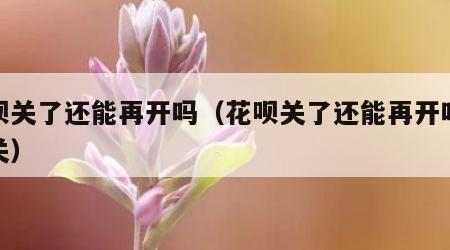 花呗关了还能再开吗（花呗关了还能再开吗怎么关）