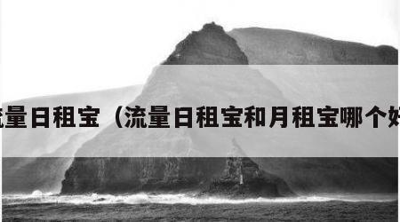 流量日租宝（流量日租宝和月租宝哪个好）