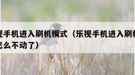 乐视手机进入刷机模式（乐视手机进入刷机模式怎么不动了）