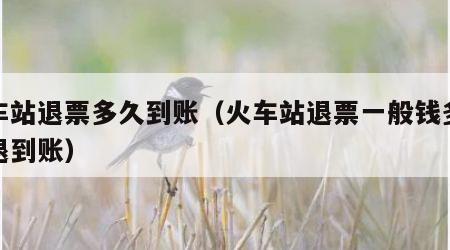 火车站退票多久到账（火车站退票一般钱多久才退到账）