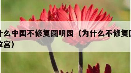 为什么中国不修复圆明园（为什么不修复圆明园故宫）
