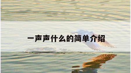 一声声什么的简单介绍