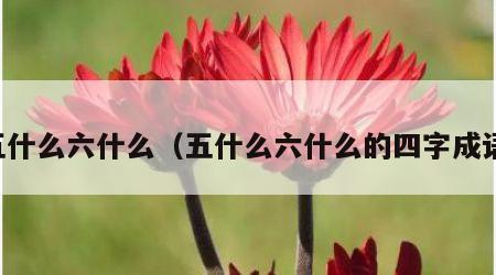 五什么六什么（五什么六什么的四字成语）