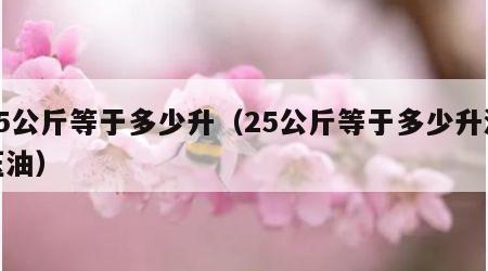 25公斤等于多少升（25公斤等于多少升液压油）