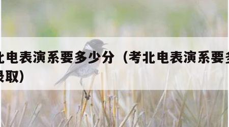 考北电表演系要多少分（考北电表演系要多少分录取）