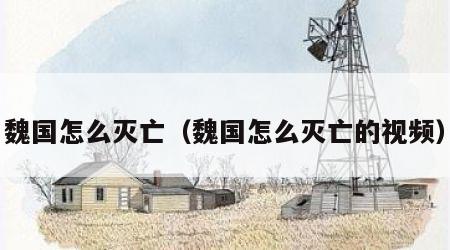 魏国怎么灭亡（魏国怎么灭亡的视频）