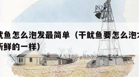 干鱿鱼怎么泡发最简单（干鱿鱼要怎么泡才能像新鲜的一样）