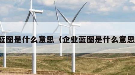 蓝图是什么意思（企业蓝图是什么意思）