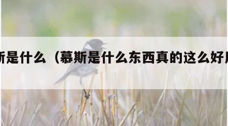 慕斯是什么（慕斯是什么东西真的这么好用吗）