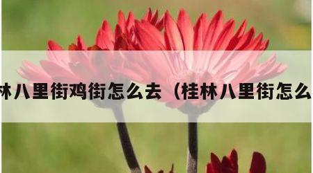 桂林八里街鸡街怎么去（桂林八里街怎么样）