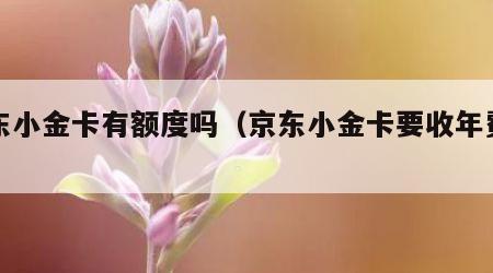京东小金卡有额度吗（京东小金卡要收年费吗）