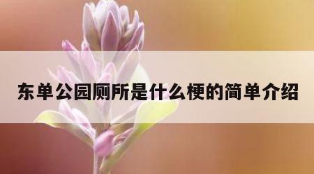 东单公园厕所是什么梗的简单介绍