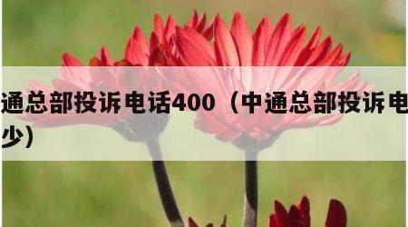 中通总部投诉电话400（中通总部投诉电话多少）